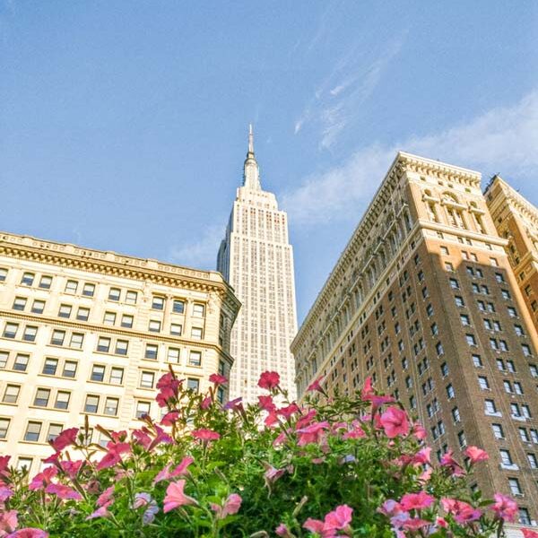 Guía de Nueva York - Inicio Empire State Building