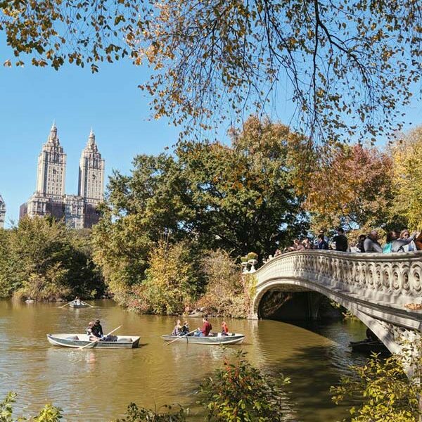 Guía de Nueva York - Central Park Inicio